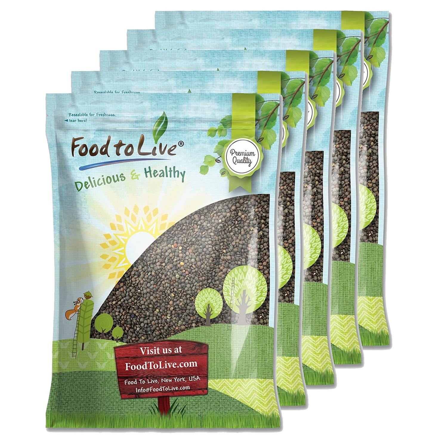 French Green Lentils — Non-GMO Verified, Whole Dry Beans, Raw, Kosher, Sproutable, Bulk - by Food to Live