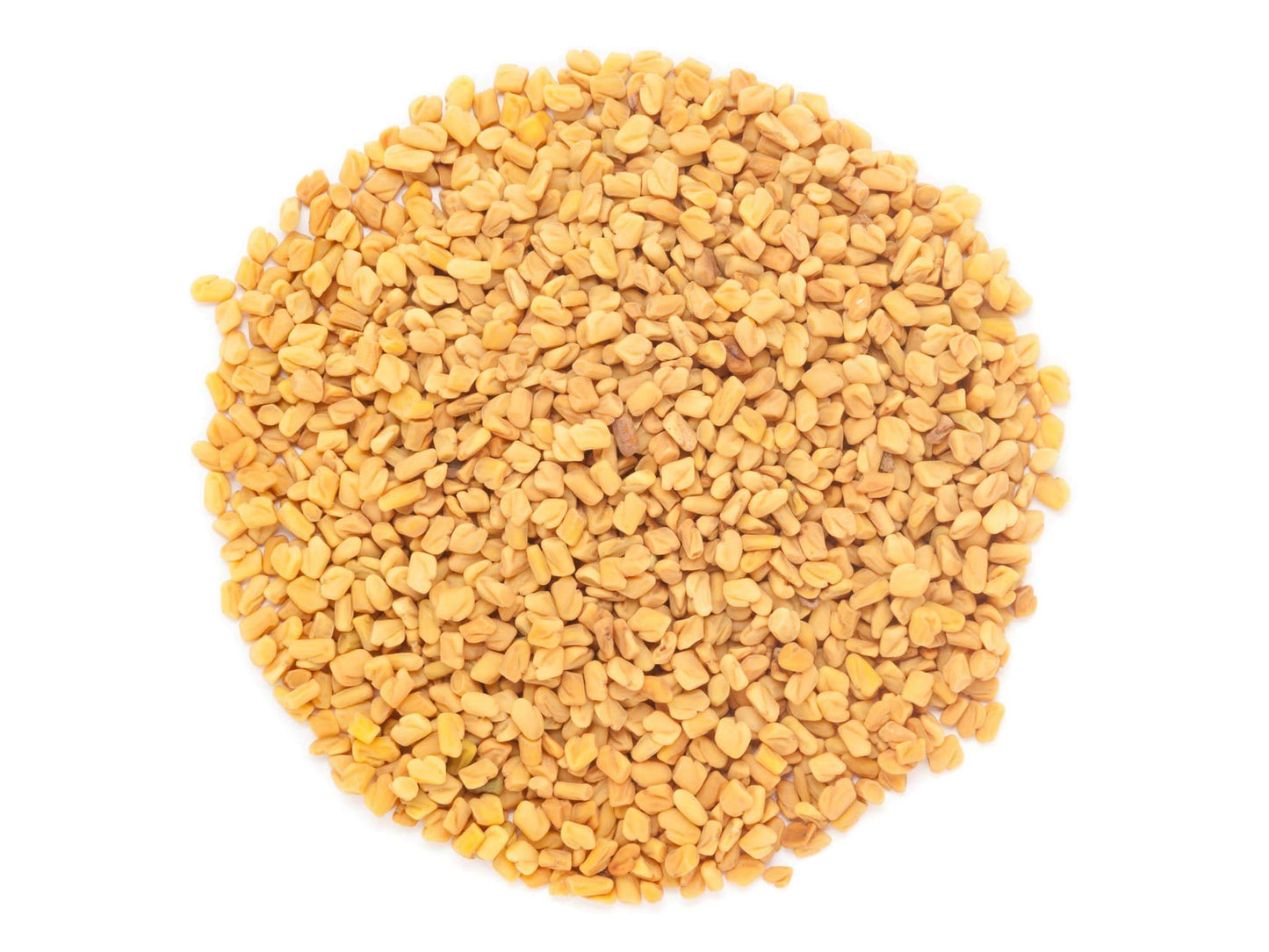 Organic Fenugreek Seeds — Non-GMO, Raw, Whole Methi, Kosher, Vegan, Bulk, Rich in Iron, Copper and Fiber - by Food to Live
