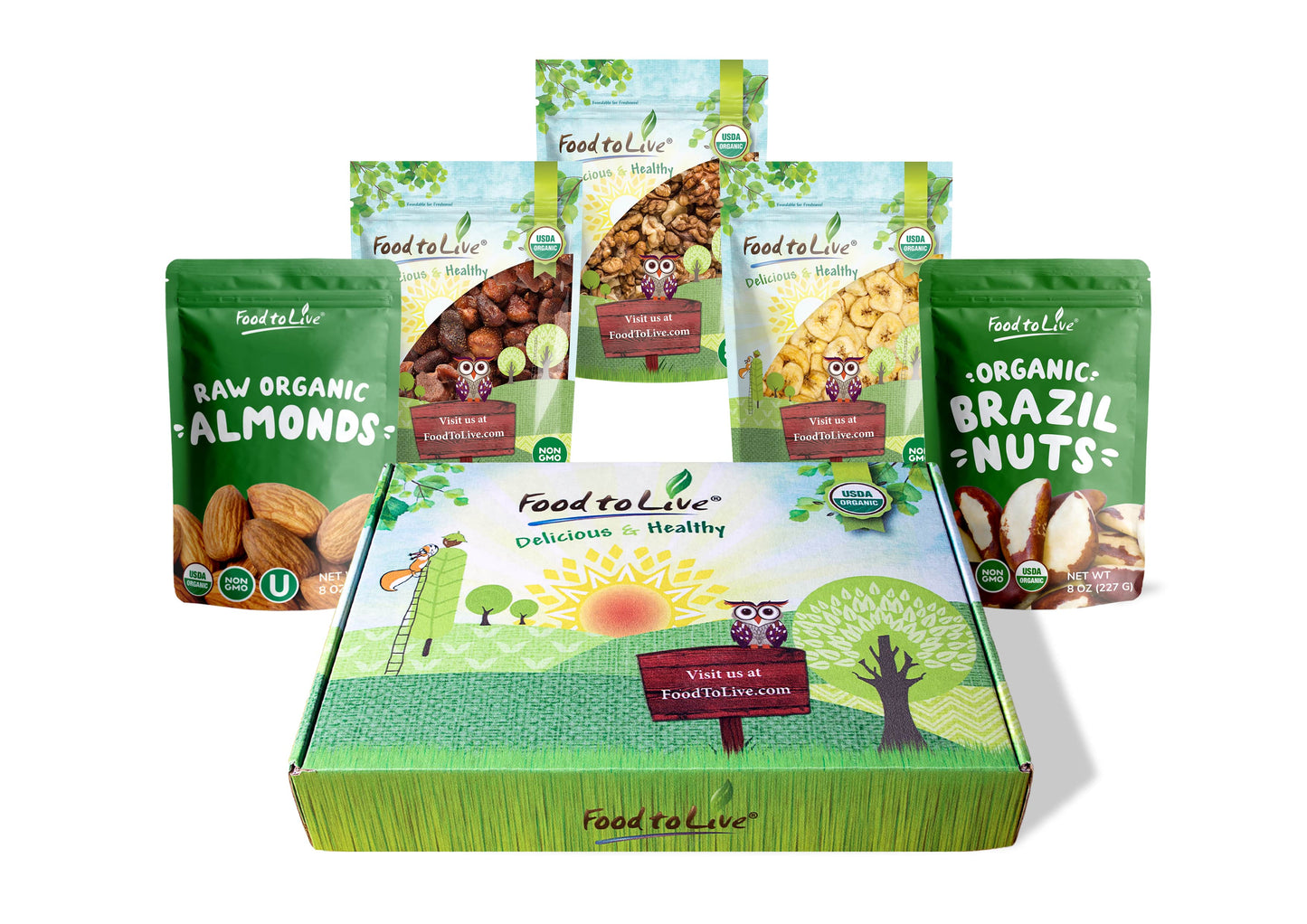 Organic Gift Box for Food Lovers - Dried Strawberries, Raw Almonds, Brazil Nuts, Walnuts and Banana Chips - by Food to Live
