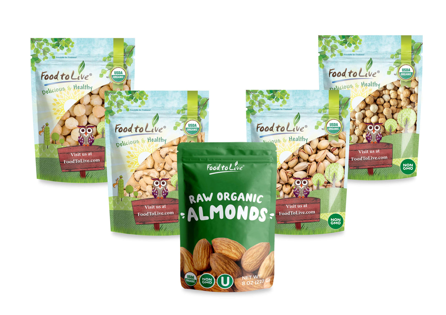 Organic Brooklyn Nuts Gift Box - Roasted Blanched Hazelnuts, Roasted and Salted Pistachios, Raw Cashews, Almonds, Macadamia Nuts