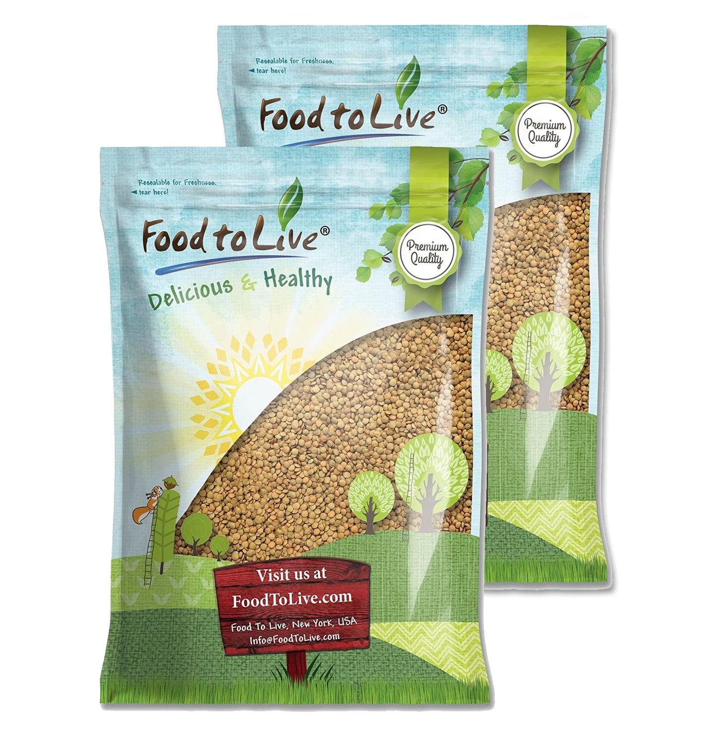 Green Lentil Whole — Non-GMO Verified, Kosher, Bulk - by Food to Live