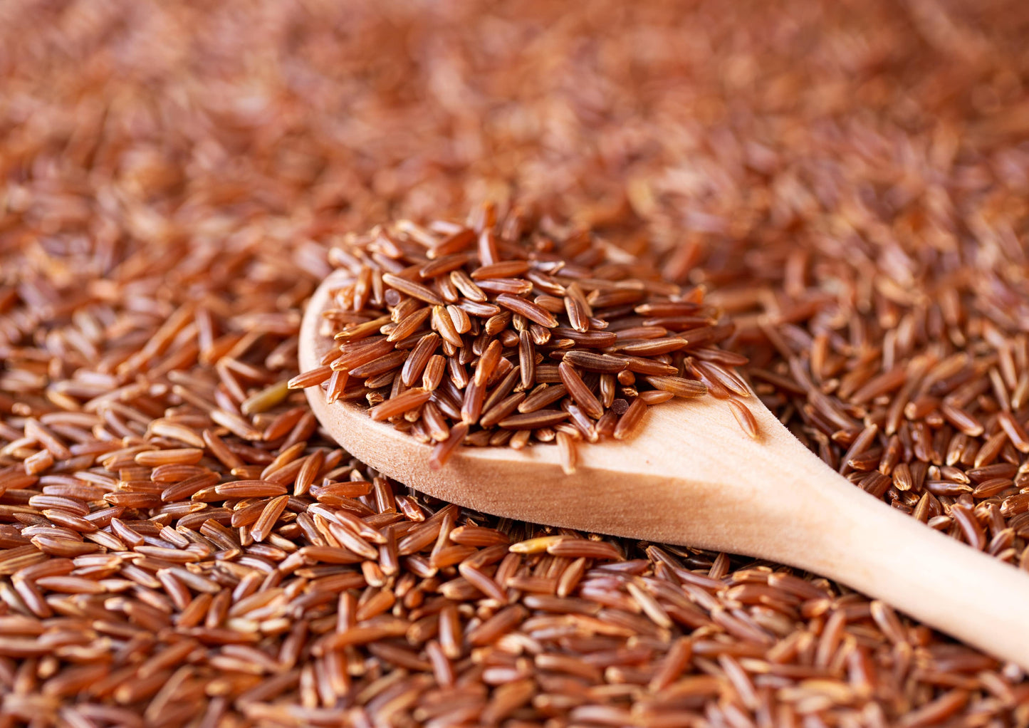 Red Rice - Whole Long-Grain Rice, Nutty Flavor, Soft Texture, Non-Sticky, Vegan, Bulk. Good Source of Protein and Antioxidants. Perfect for Pilafs, Salads, Stir-Fries, and Rice Bowls