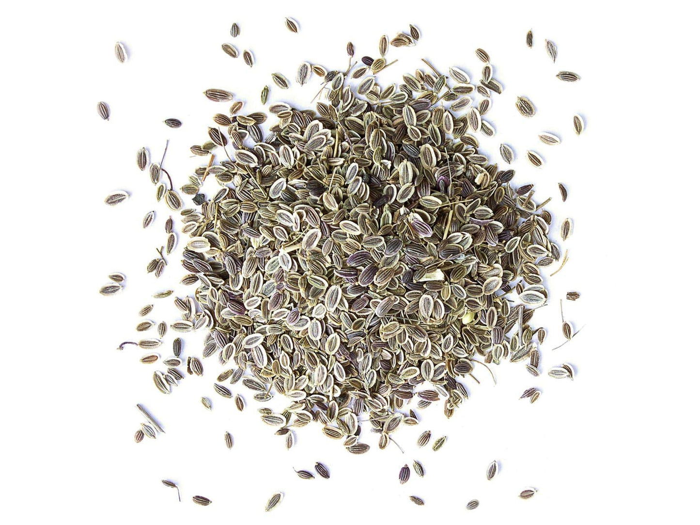 Dill Seeds Whole — Non-GMO Verified, Kosher, Bulk - by Food to Live