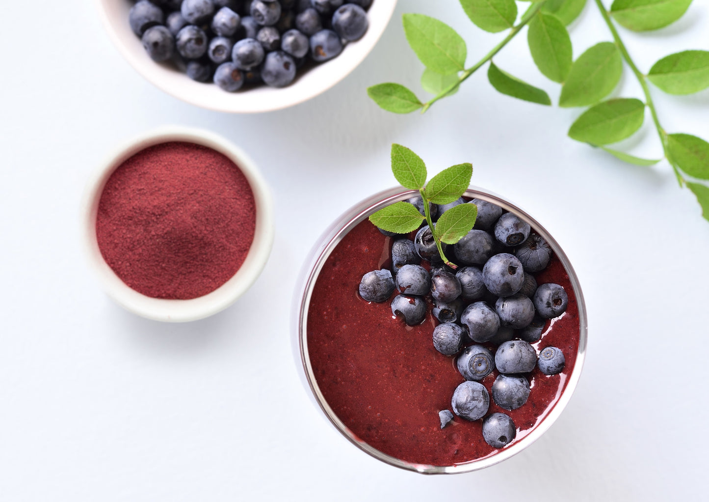 Organic Blueberry Powder - Non-GMO, Unsulfured, Raw, Vegan, Bulk, Great for Juices, Smoothies, and Instant Breakfast Drinks, Contains Maltodextrin, No Sulphites - by Food to Live