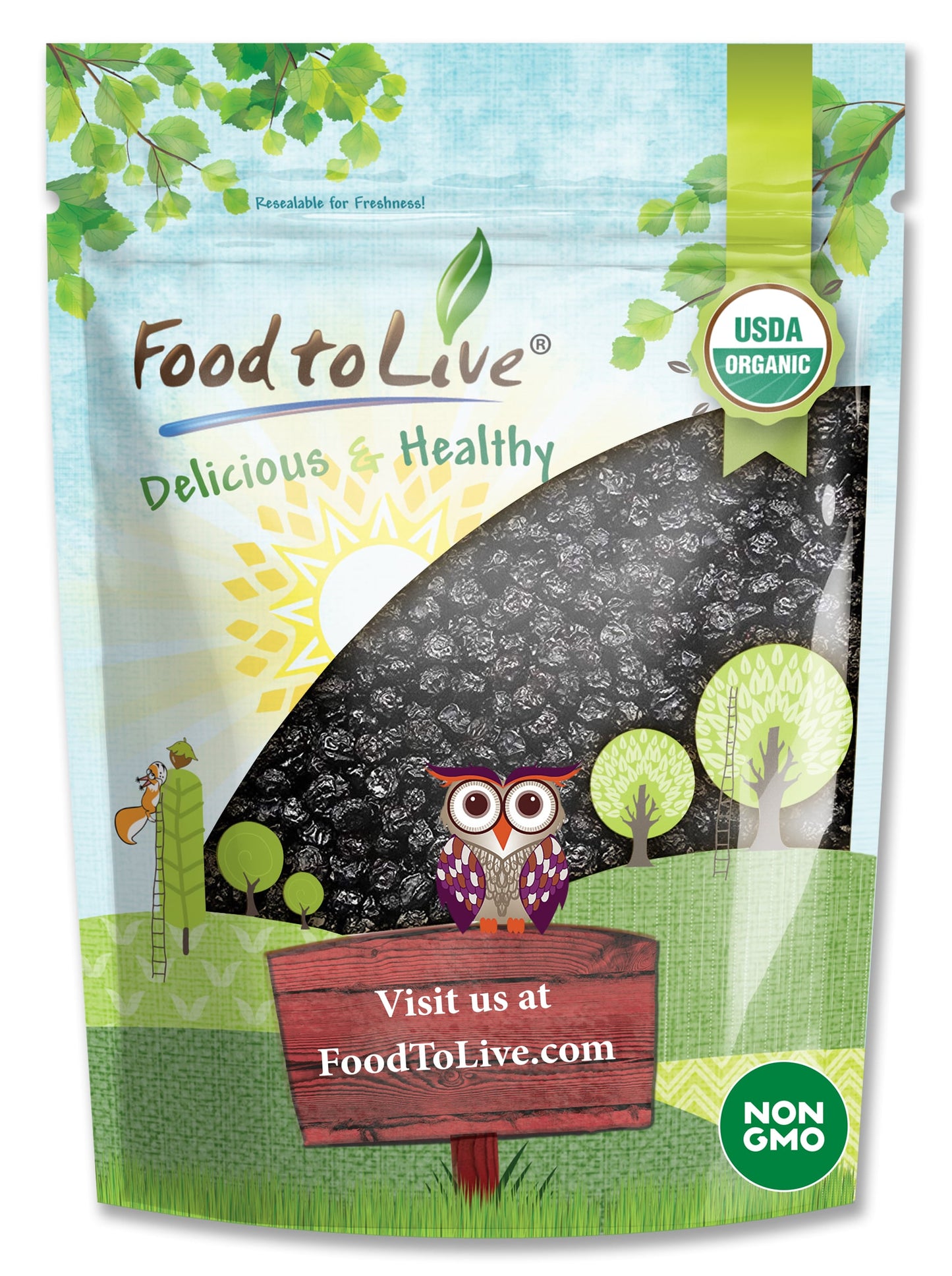 Organic Dried Blueberries - Non-GMO, Kosher, Raw, Vegan, Unsulfured, Bulk - by Food to Live