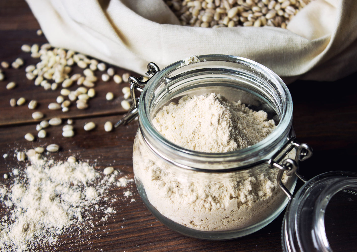 Sprouted Barley Powder — Finely Ground Dried Barley Sprouts, Pure, Vegan, Bulk. Good Source of Plant-Based Protein and Fiber. Great for Baking, Smoothies, Shakes, Sauces, and Dressings