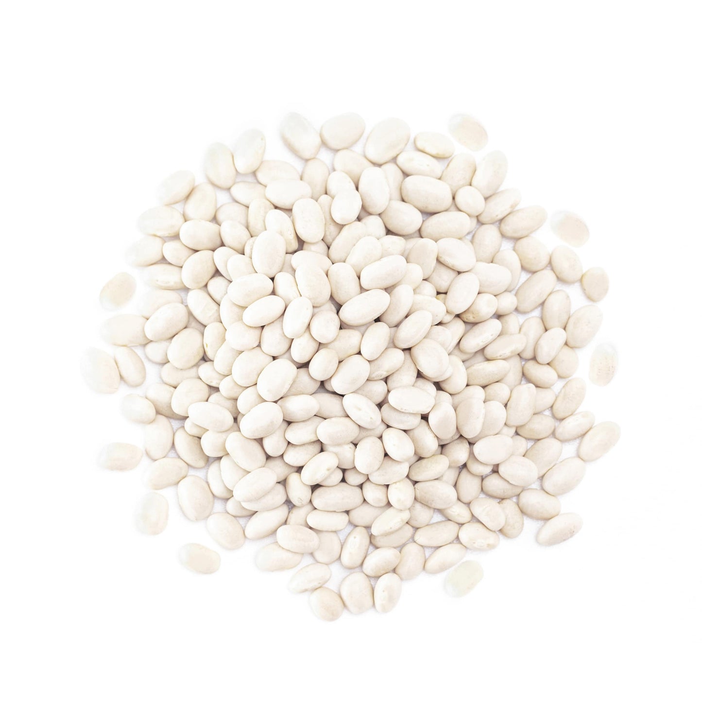 Navy Beans — Non-GMO Verified, Raw, Dried, Vegan, Kosher, Whole Small White Kidney Beans in Bulk, Good Source of Protein, Fiber, Folate, and Copper. Low Sodium. Great for Cooking and Soups