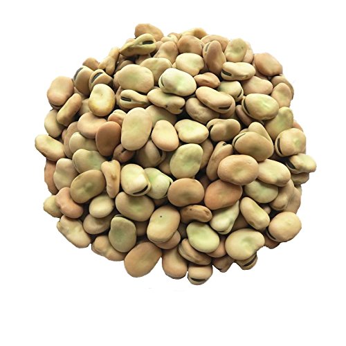 Organic Fava Beans - Broad Beans, Non-GMO, Kosher, Raw, Sproutable, Dried Vicia Faba, Bulk, Sirtfood, Product of the USA - by Food to Live