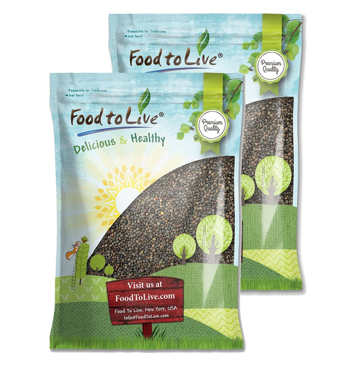 French Green Lentils — Non-GMO Verified, Whole Dry Beans, Raw, Kosher, Sproutable, Bulk - by Food to Live