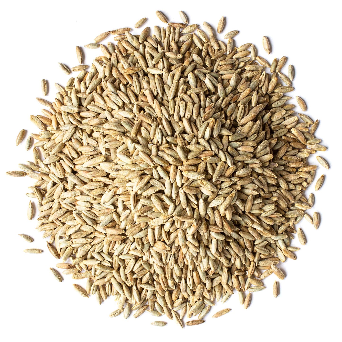Organic Rye Berries - Non-GMO, Kosher, Raw, Bulk Seeds, Product of the USA - by Food to Live
