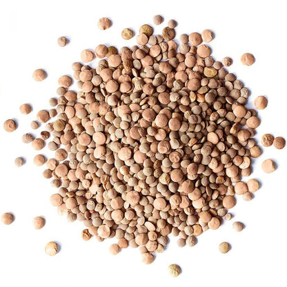 Organic Red Lentils Whole - Non-GMO, Kosher, Raw, Dried, Sproutable, Rich in Fiber, Bulk, Product of Canada - by Food to Live