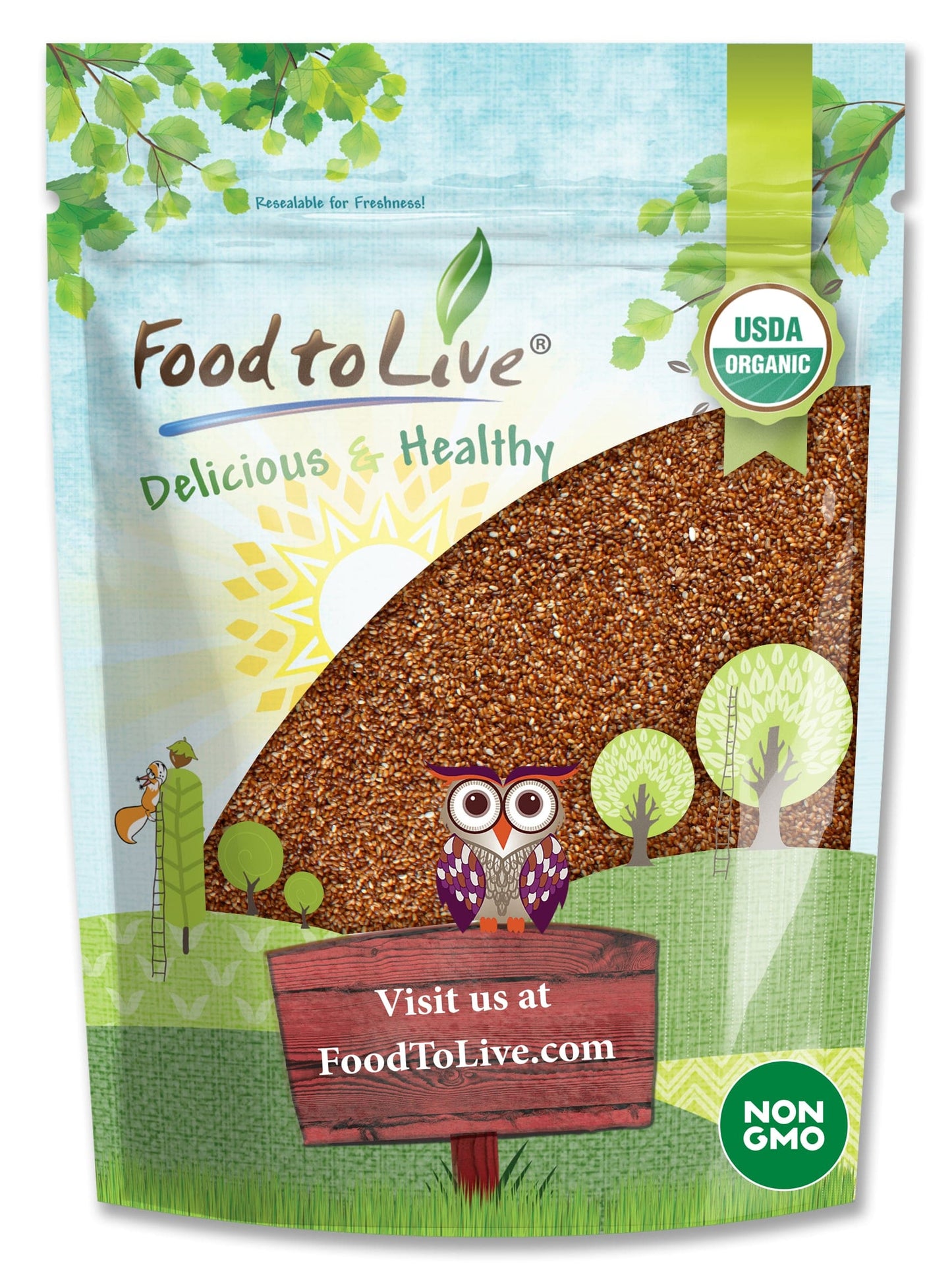 Organic Teff - Non-GMO, Vegan, Bulk - by Food to Live