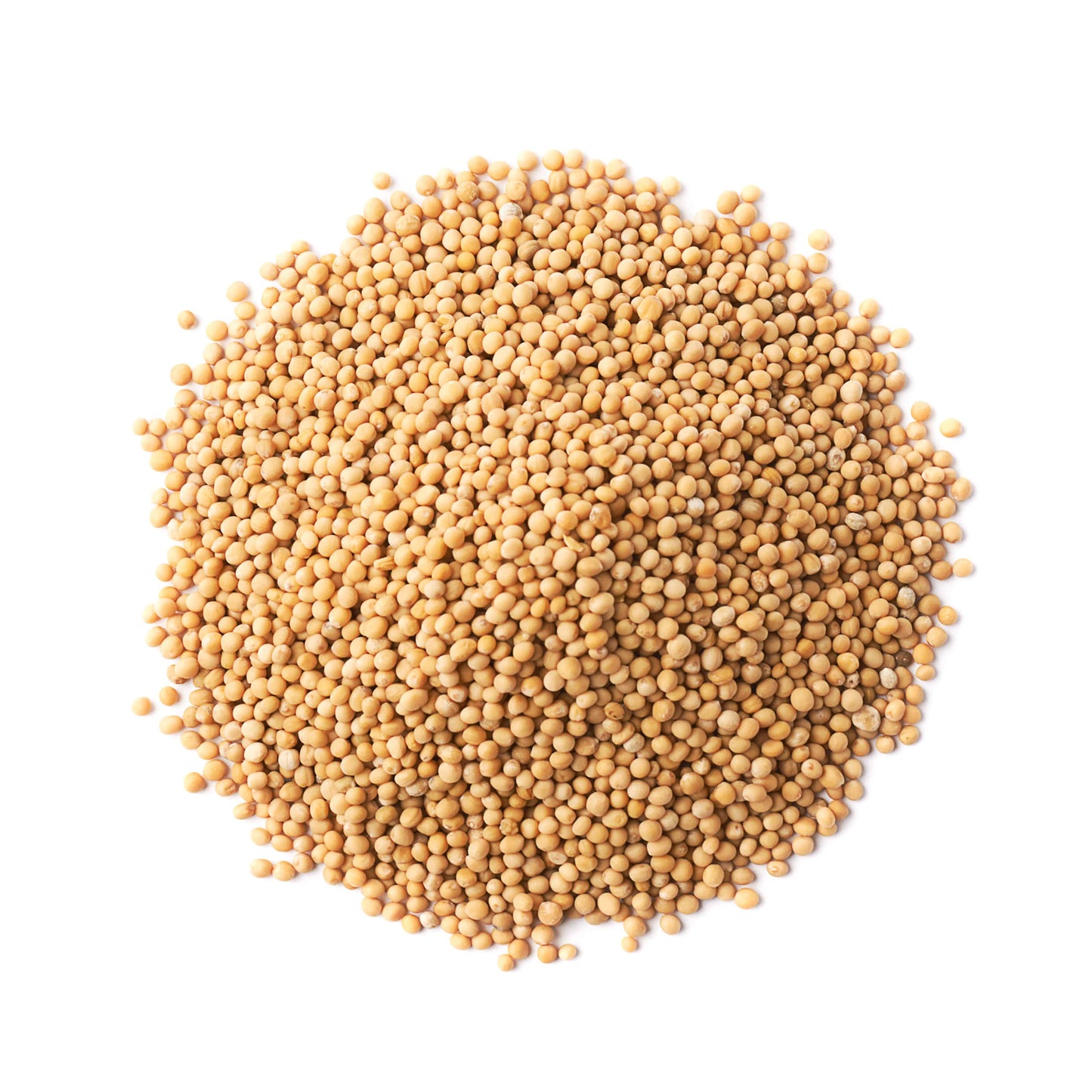 Organic Mustard Seeds - Whole Yellow Seeds, Non-GMO, Kosher, Raw, Dried, Hot Spice, Bulk - by Food to Live