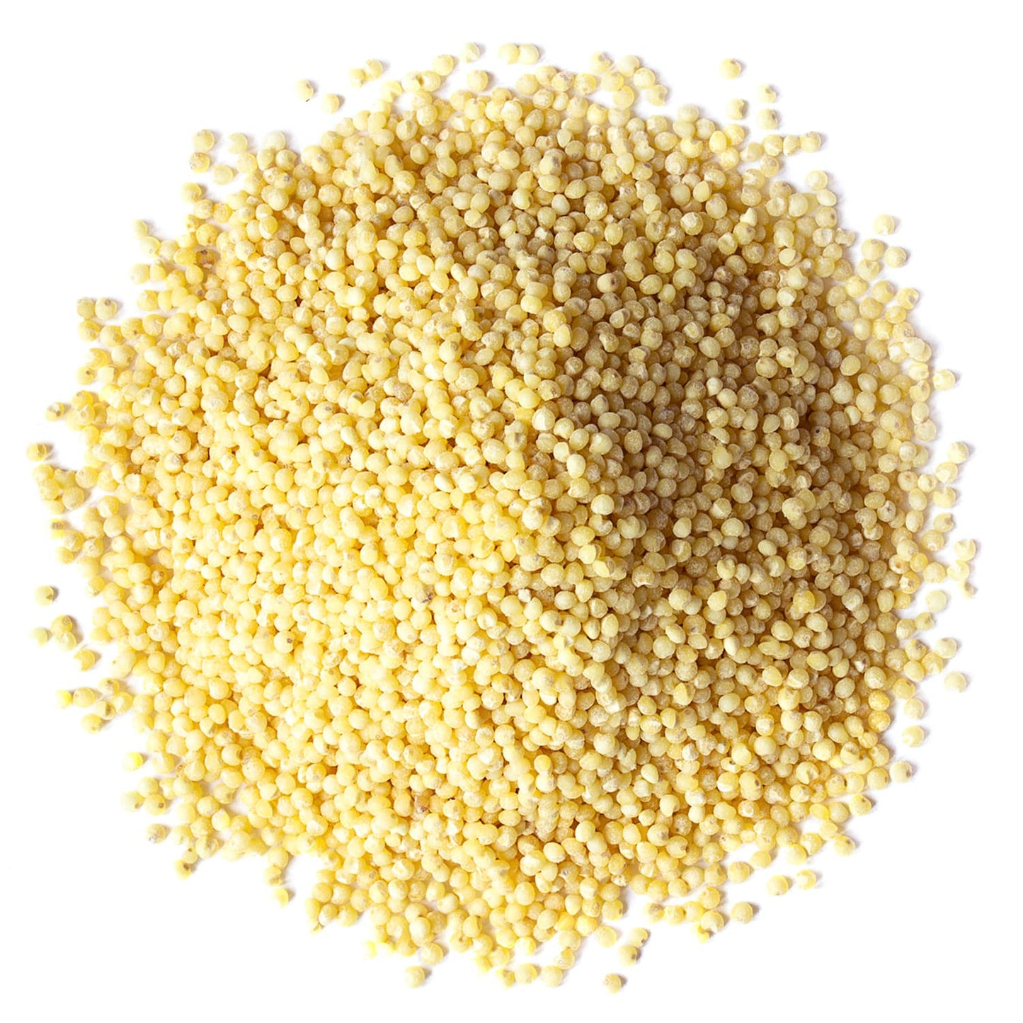 Hulled Millet - Non-GMO Verified, Whole Grain Seeds, Kosher, Raw, Bulk- by Food to Live