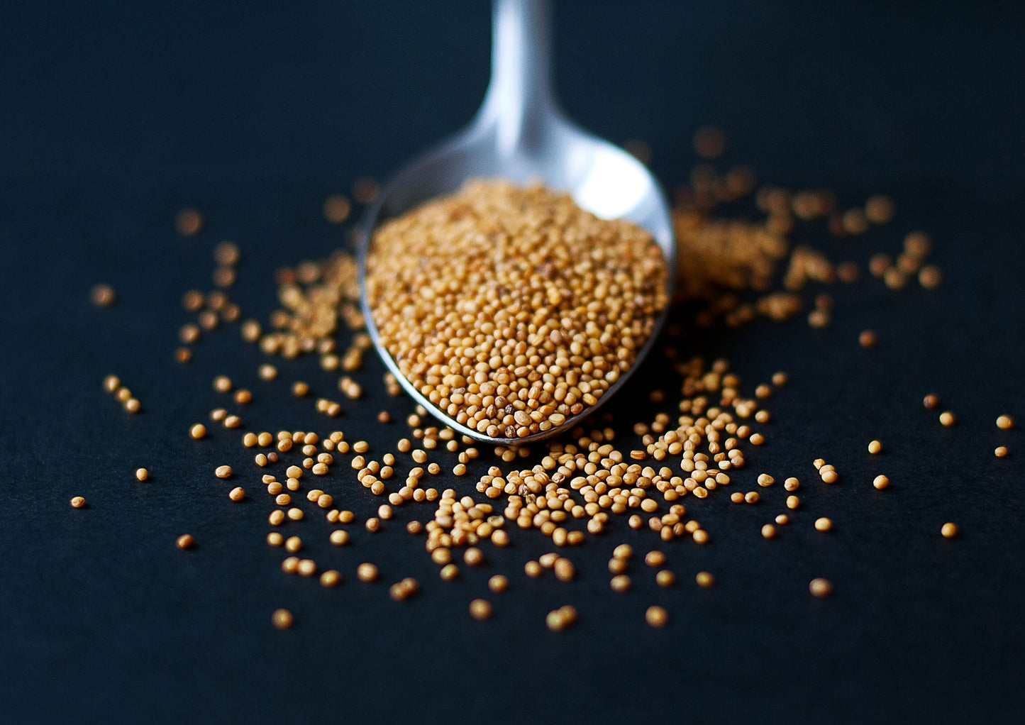 Organic Mustard Seeds - Whole Yellow Seeds, Non-GMO, Kosher, Raw, Dried, Hot Spice, Bulk - by Food to Live