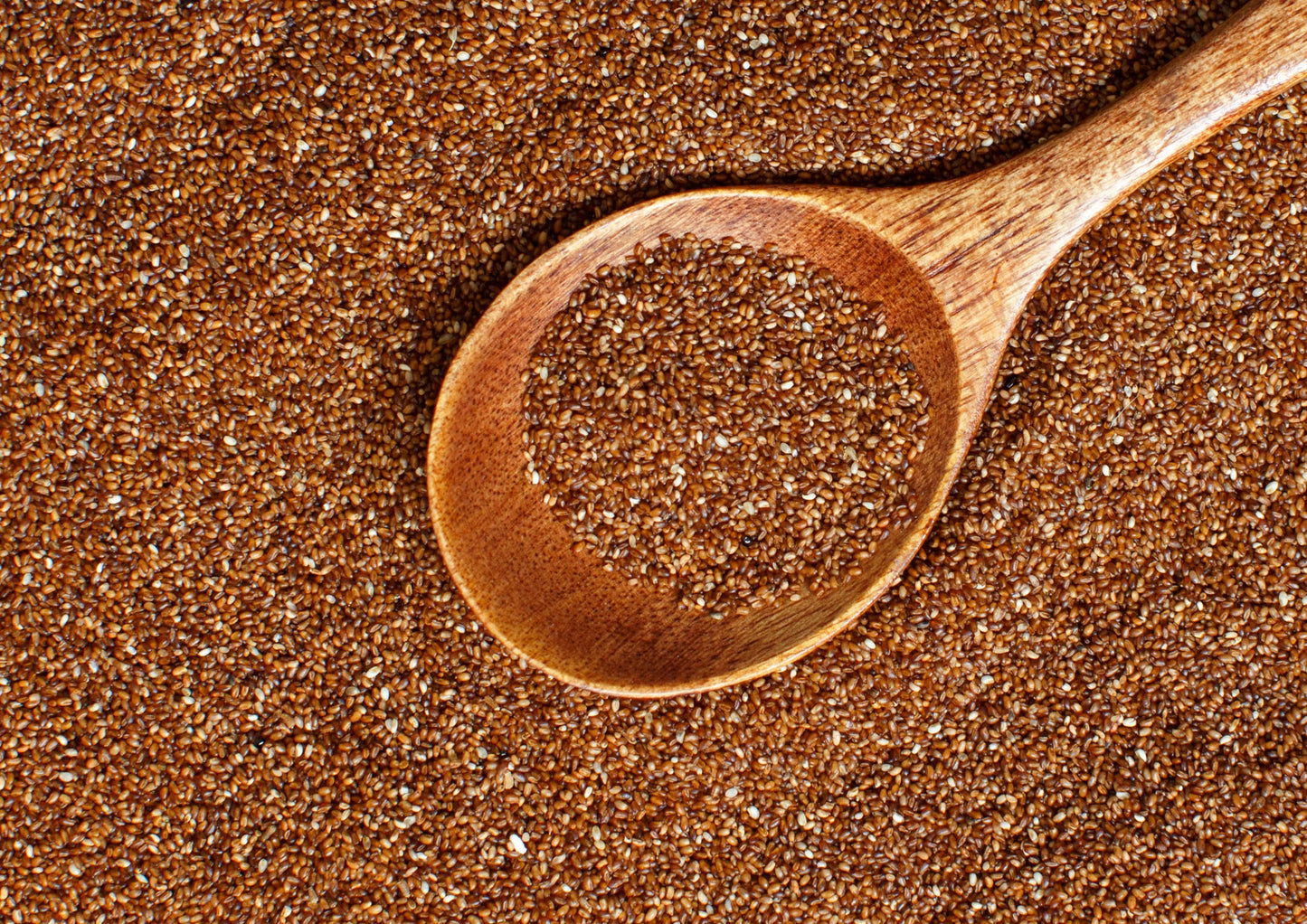 Organic Teff - Non-GMO, Vegan, Bulk - by Food to Live