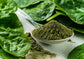Organic Spinach Powder - Non-GMO, Raw, Vegan, Bulk - by Food to Live