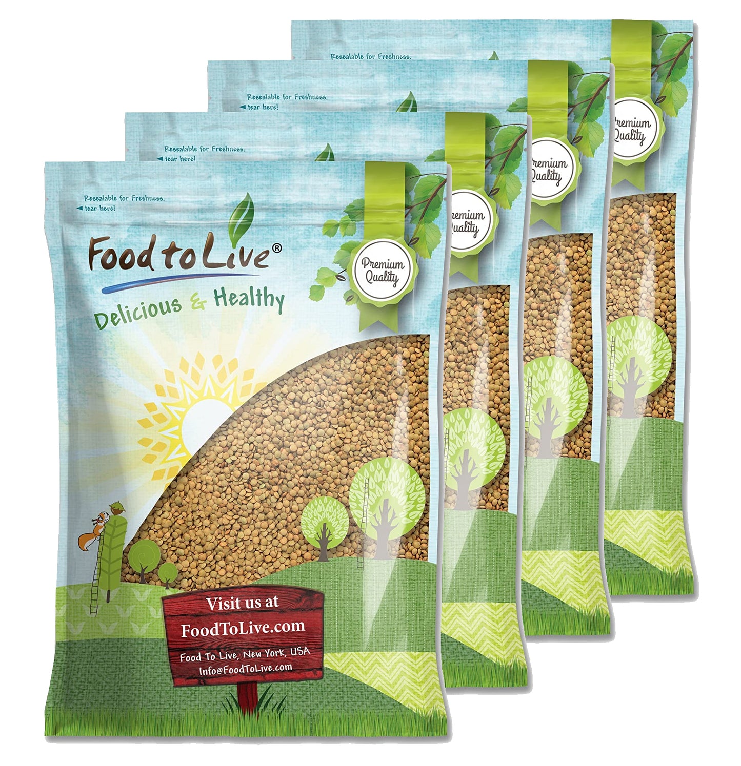 Green Lentil Whole — Non-GMO Verified, Kosher, Bulk - by Food to Live