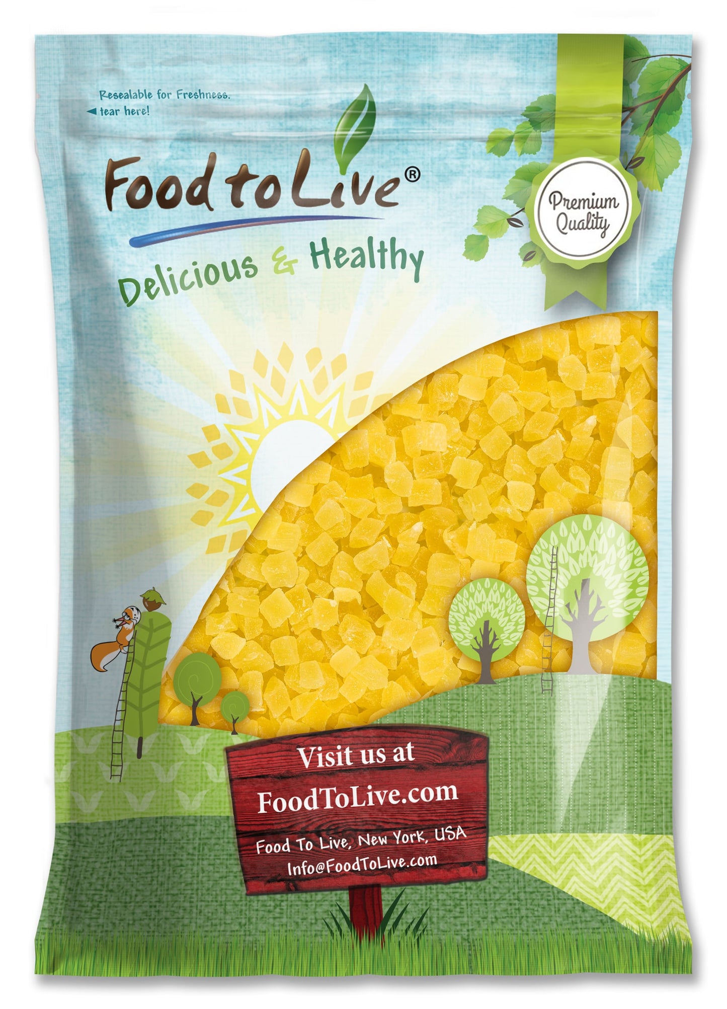 Dried Diced Pineapple - Raw, Vegan, Sweetened, Unsulfured, Bulk - by Food to Live