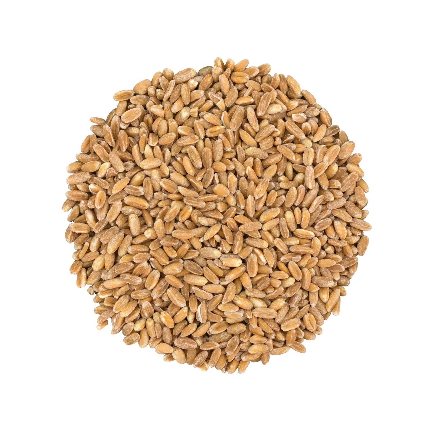 Pearled Farro Grain - Kosher, Vegan, Whole Grain in Bulk, Good Source of Dietary Fiber, Protein and Iron - by Food to Live