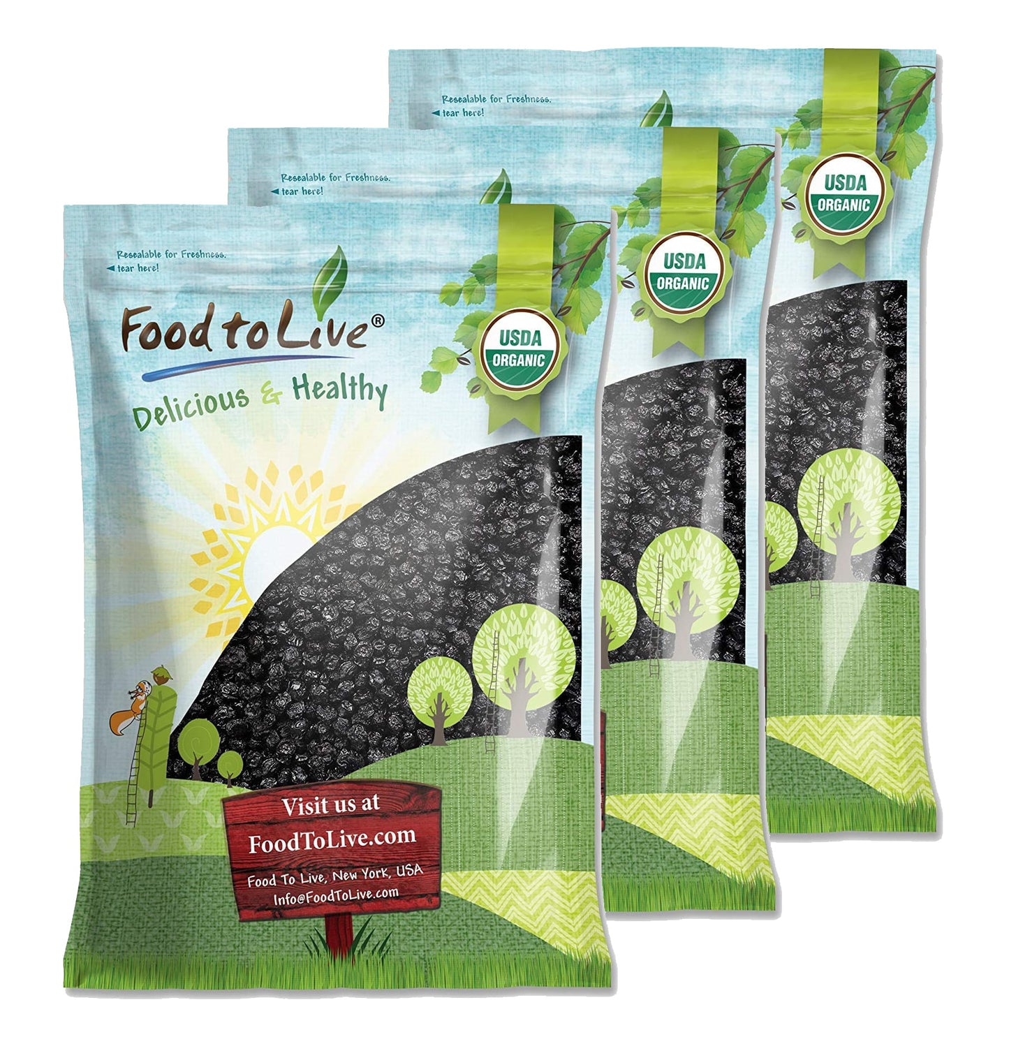 Organic Dried Blueberries - Non-GMO, Kosher, Raw, Vegan, Unsulfured, Bulk - by Food to Live