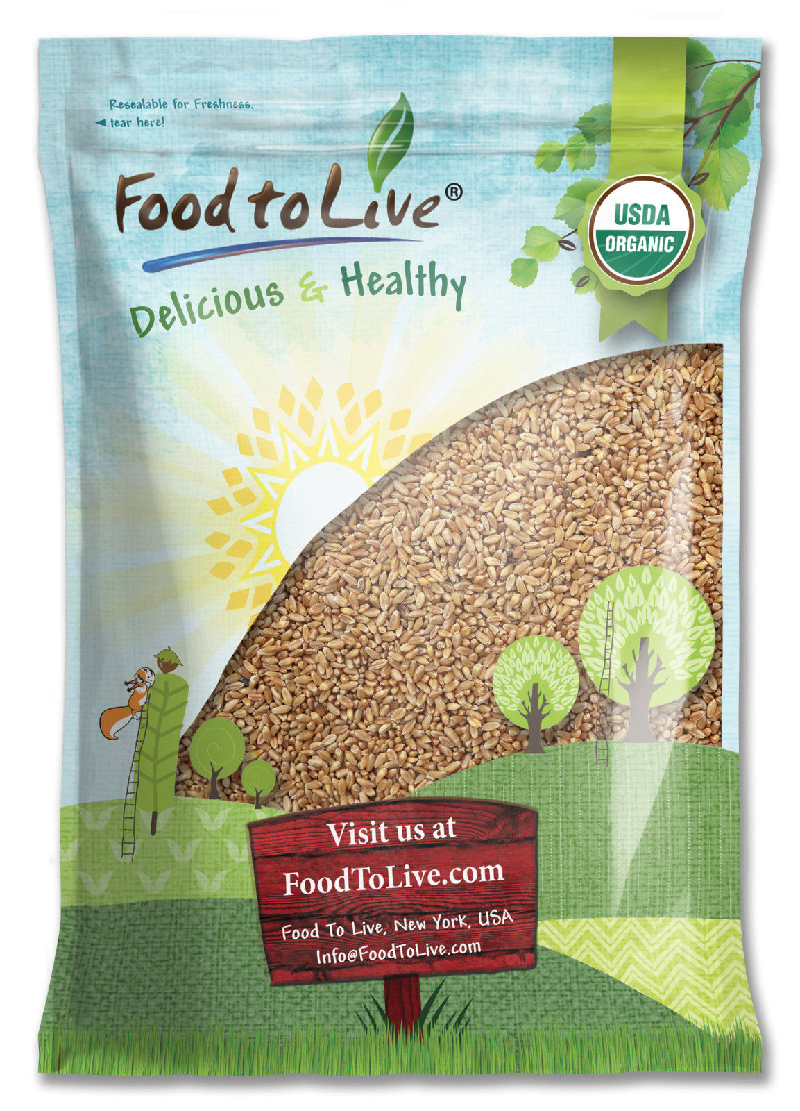 Organic Wheat Berries – Non-GMO, Kosher, Raw, Sproutable, Vegan, Sodium and Sugar Free - by Food to Live