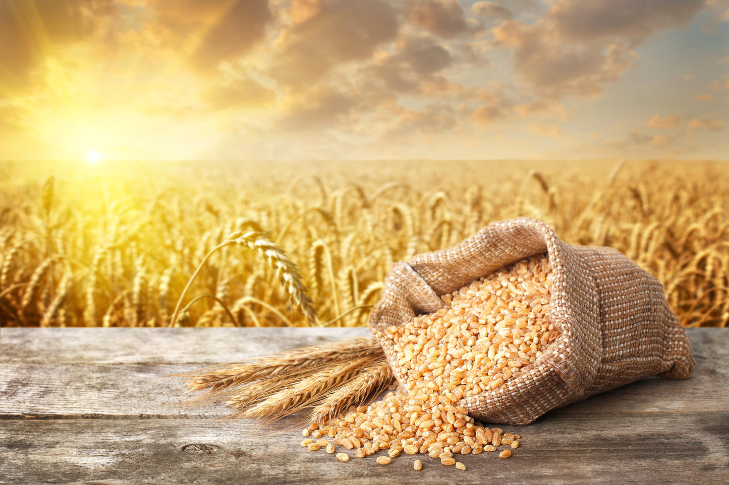 Organic Whole Wheat Couscous - Non-GMO, Kosher, Raw, Vegan, Bulk - by Food to Live
