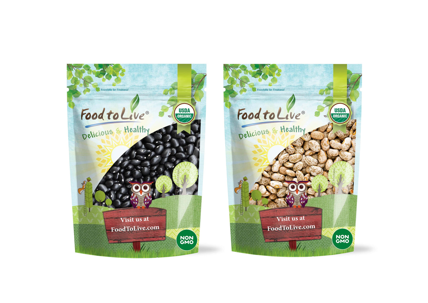 Organic Dry Beans Bundle, 2 Pack – Organic Black Beans (5 LB), Organic Pinto Beans (5 LB), Non-GMO, Raw, Vegan, Kosher, Sproutable, Bulk. Rich in Fiber and Protein. Perfect for Soups, Burritos, Tacos