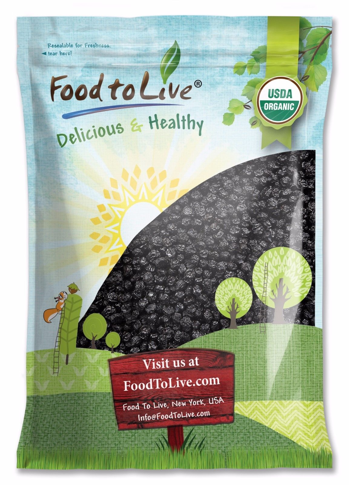 Organic Dried Blueberries - Non-GMO, Kosher, Raw, Vegan, Unsulfured, Bulk - by Food to Live