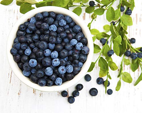 Organic Dried Blueberries - Non-GMO, Kosher, Raw, Vegan, Unsulfured, Bulk - by Food to Live