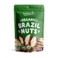Organic Dry Roasted Brazil Nuts – Non-GMO, Whole, Unsalted, Oven Roasted, No Oil Added, Vegan, Kosher, Bulk. Good Source of Protein, Selenium and Fatty Acids. Crunchy Keto-Friendly Snack