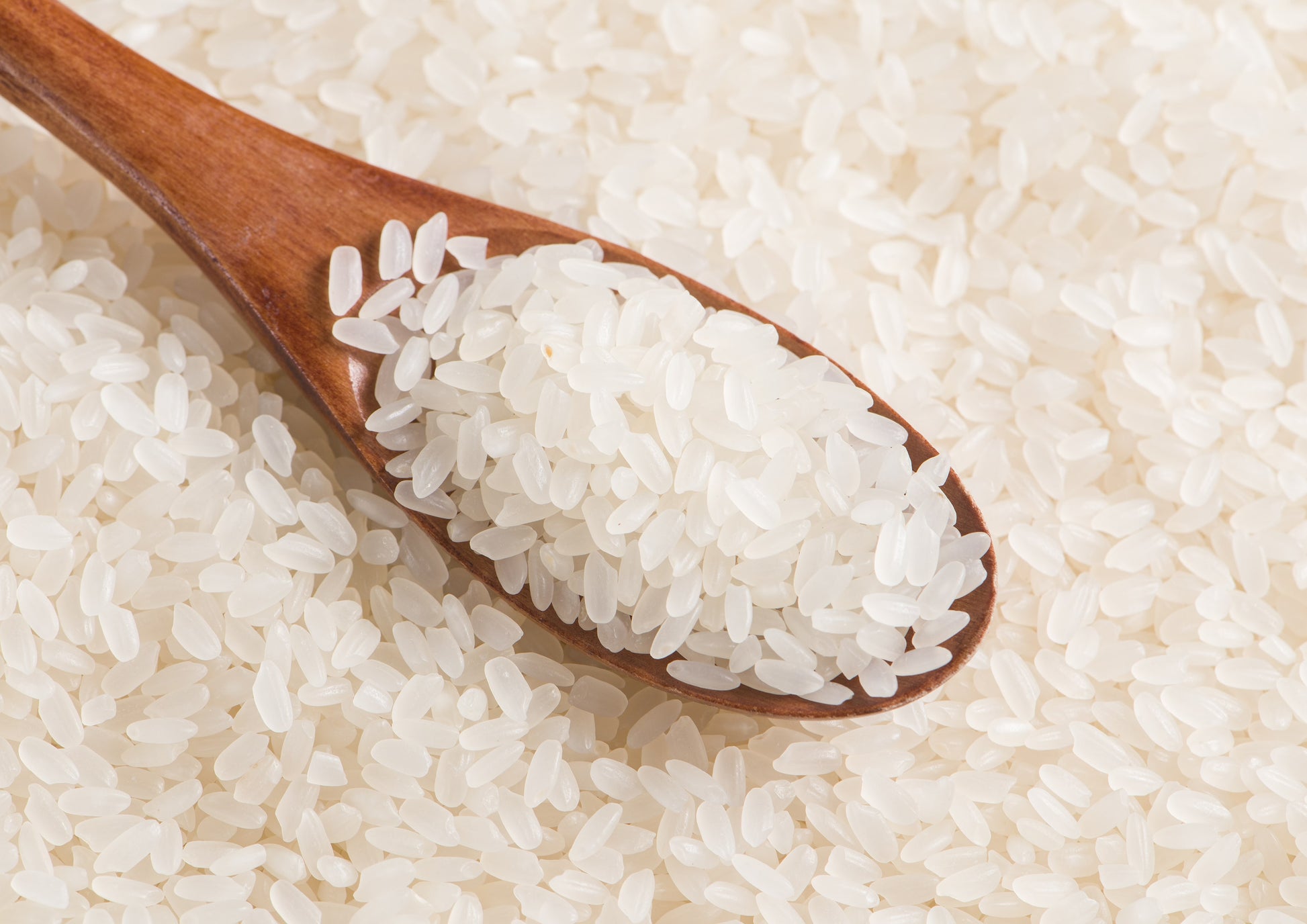 Calrose Rice Grain Keto Rice SHIRAKIKU Calrose Rice - Medium Grain White Rice, 15 Pound ...