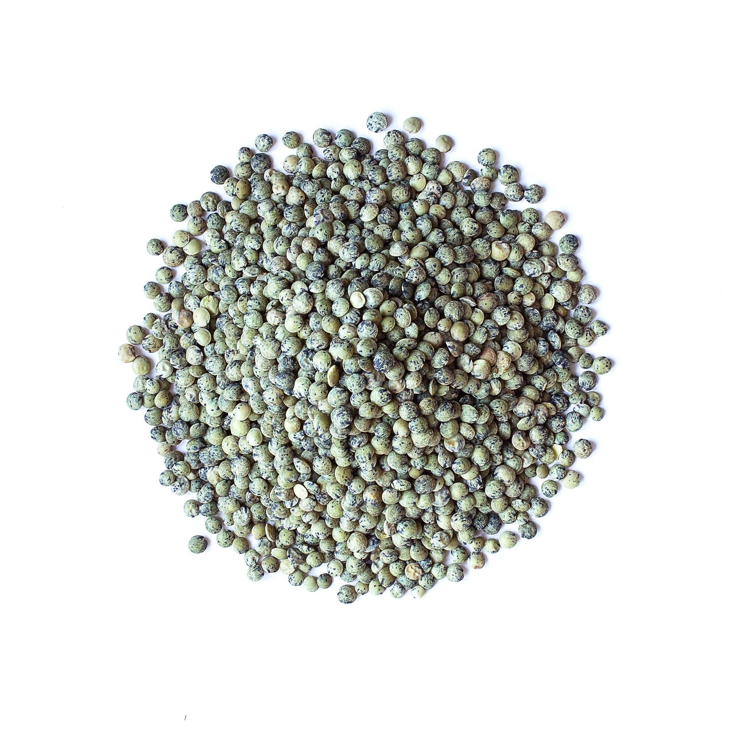 French Green Lentils — Non-GMO Verified, Whole Dry Beans, Raw, Kosher, Sproutable, Bulk - by Food to Live