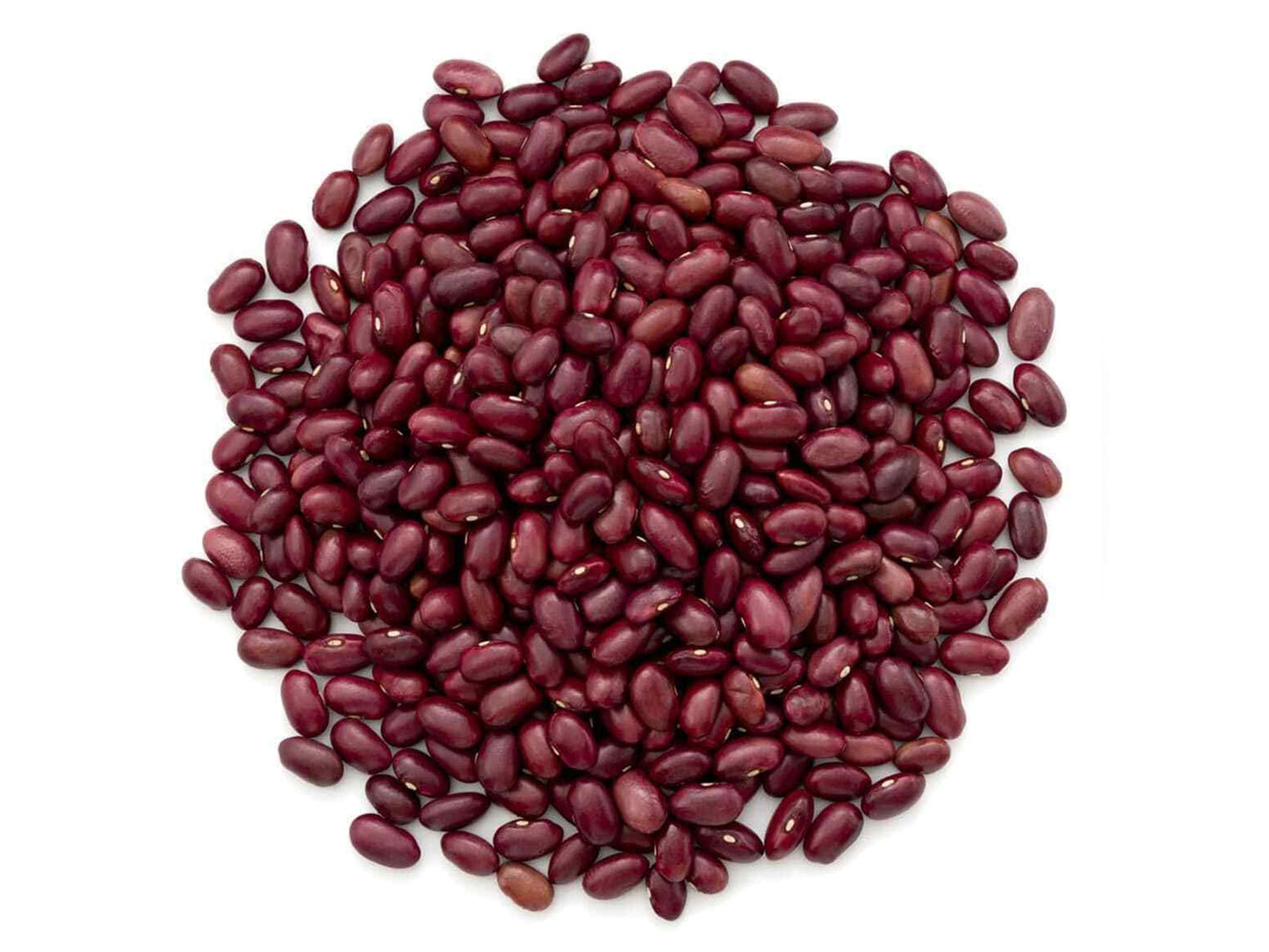 Organic Dark Red Kidney Beans - Non-GMO, Kosher, Raw, Sproutable, Vegan - by Food to Live