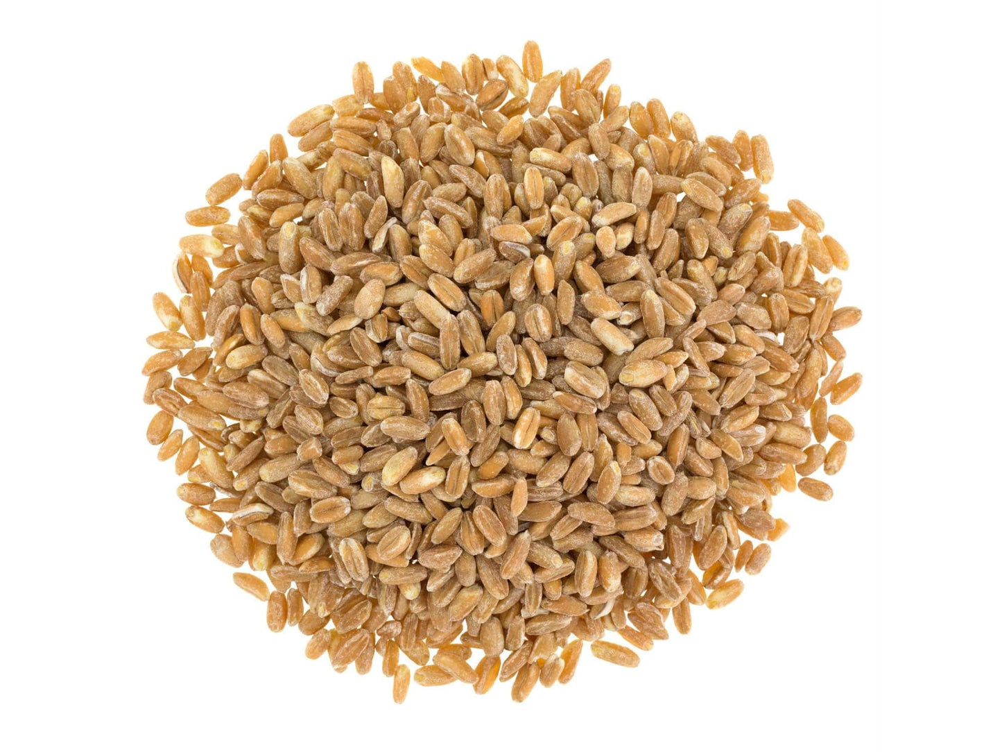 Organic Italian Pearled Farro - Non-GMO, Kosher, Vegan, Grain in Bulk, Good Source of Fiber - by Food to Live