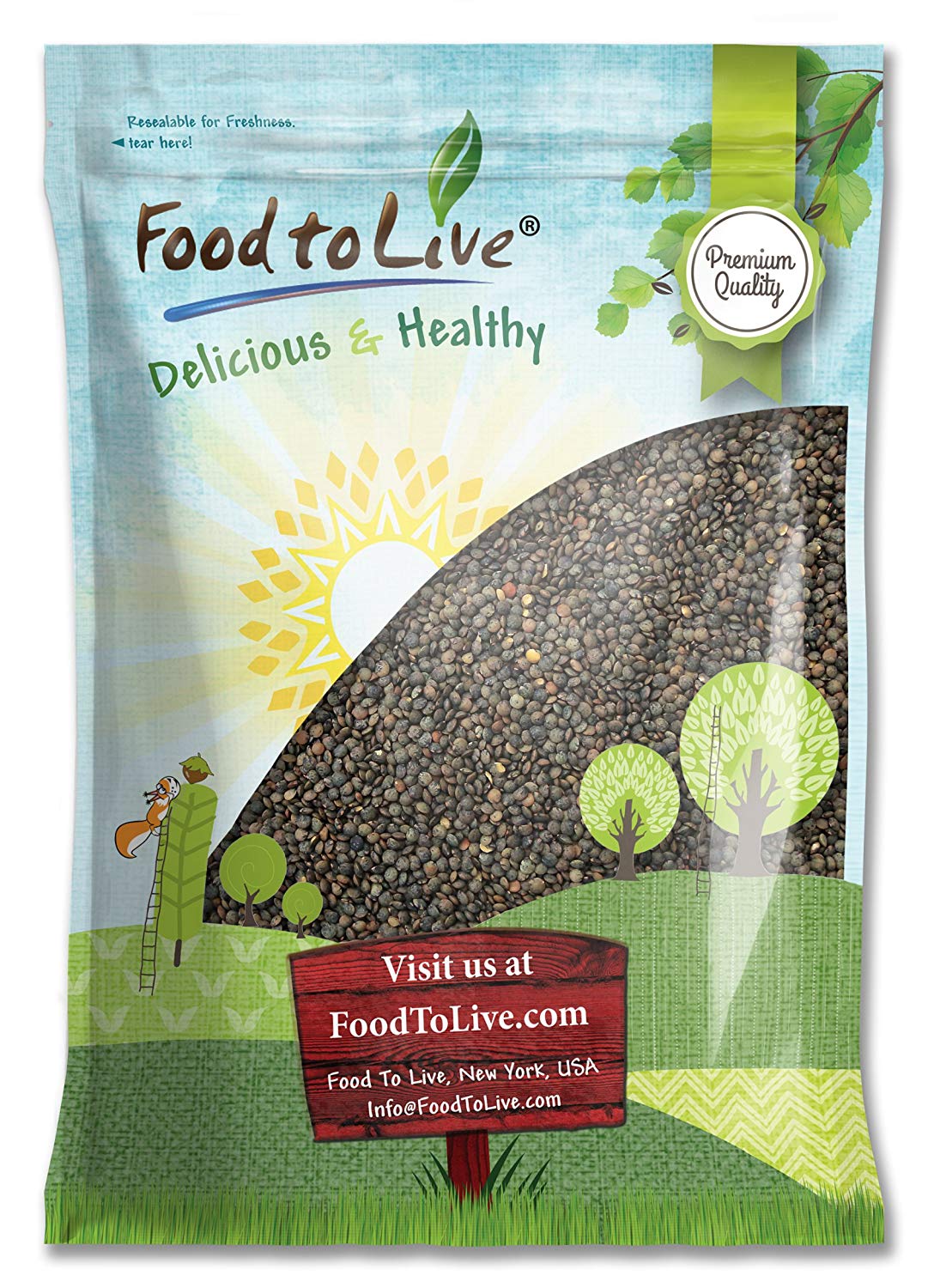 French Green Lentils — Non-GMO Verified, Whole Dry Beans, Raw, Kosher, Sproutable, Bulk - by Food to Live