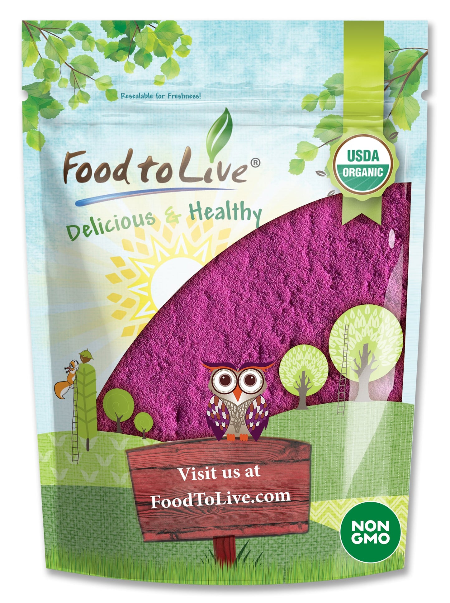 Organic Black Currant Powder — Non-GMO, Raw, Kosher, Vegan Superfood, Bulk, Rich in Antioxidants - by Food to Live