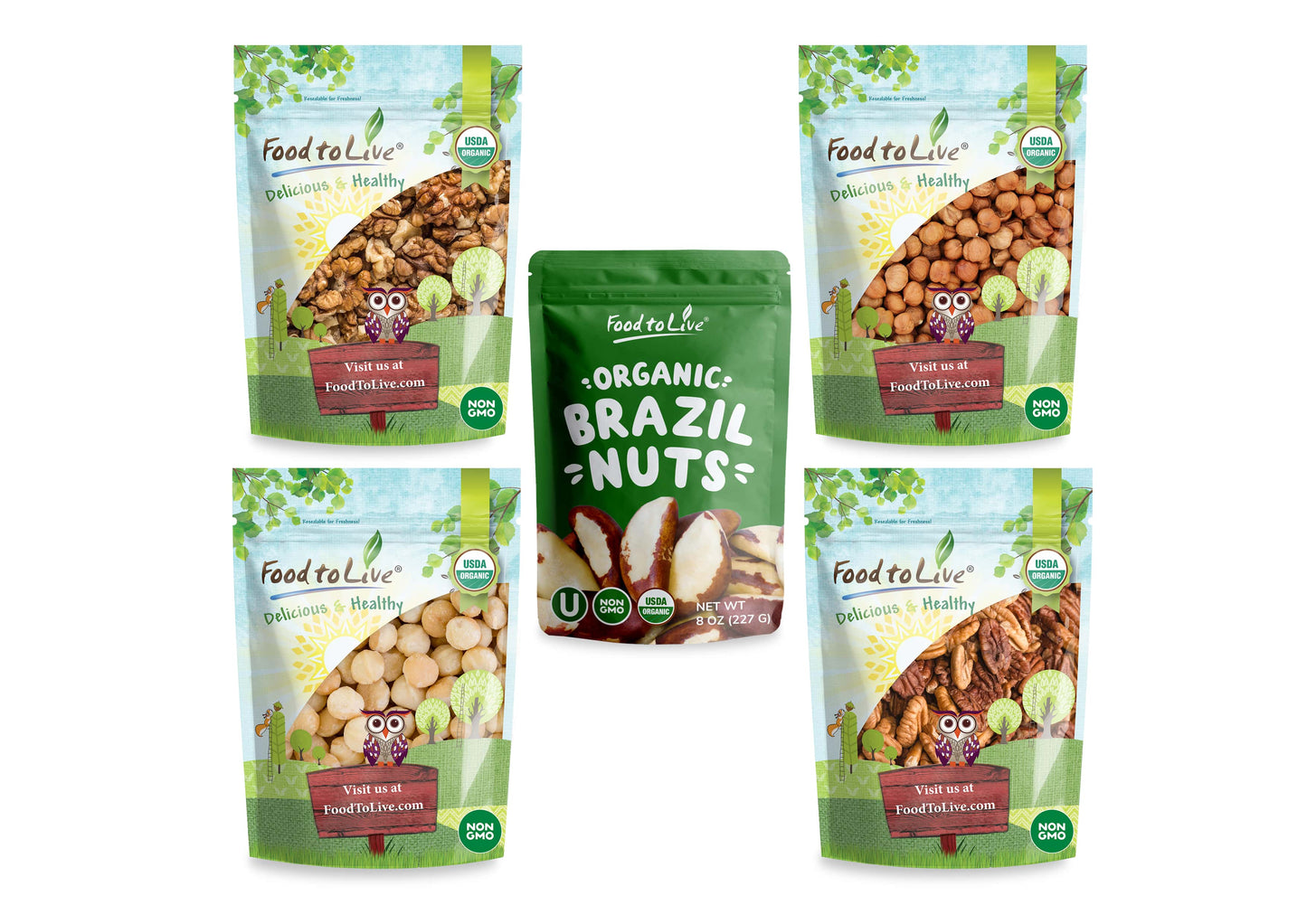 Organic Nuts in a Gift Box - A Variety Pack of Pecans, Macadamia Nuts, Hazelnuts, Walnuts and Brazil Nuts - by Food to Live