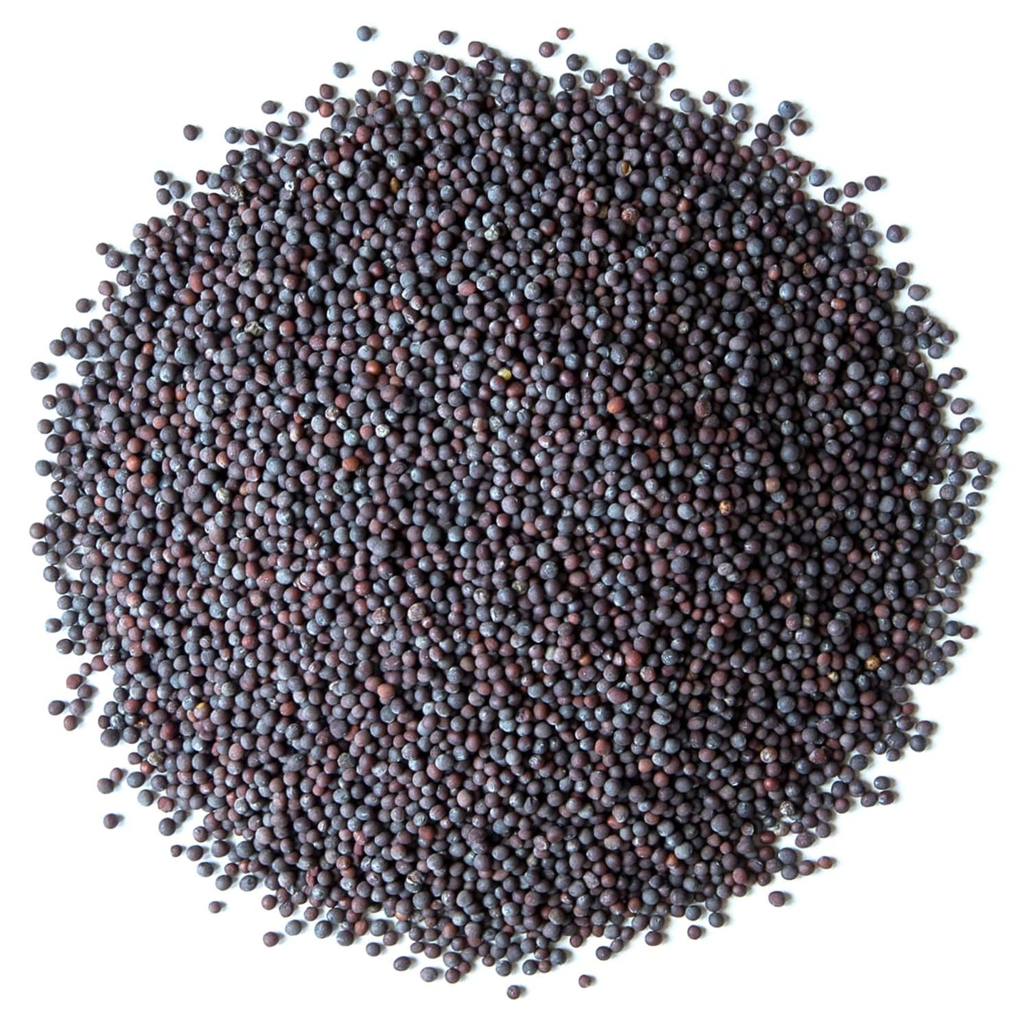 Organic Black Mustard Seeds - Whole, Non-GMO, Hot Spice, Non-Irradiated, Vegan, Kosher, Dry, Bulk, Great for Cooking - by Food to LIve