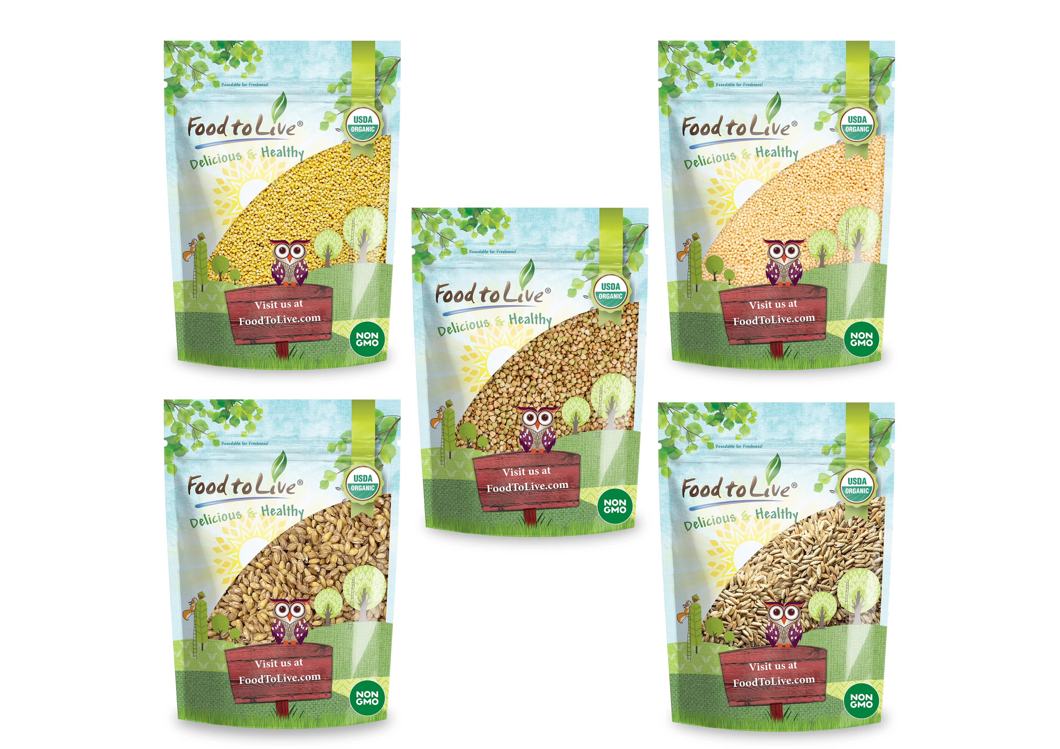 Organic Grains in a Gift Box - by Food To Live – foodtolive