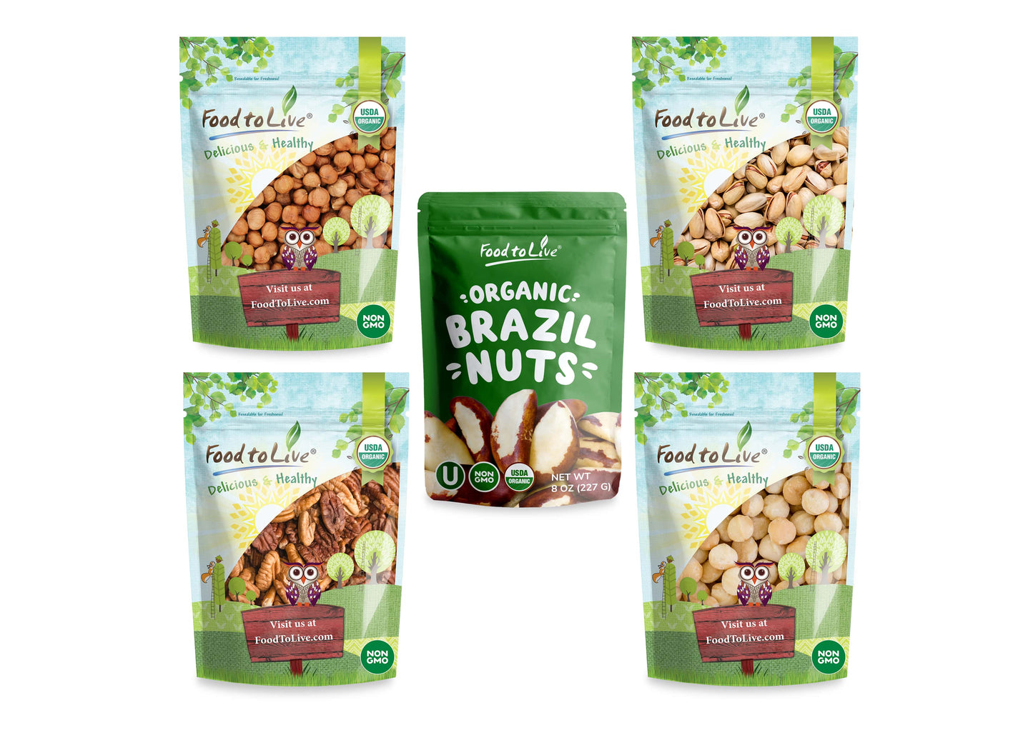 Organic Delicious Nuts in a Gift Box - Pecans, Hazelnuts, Brazil Nuts, Macadamia Nuts, and Roasted & Salted Pistachios - by Food to Live