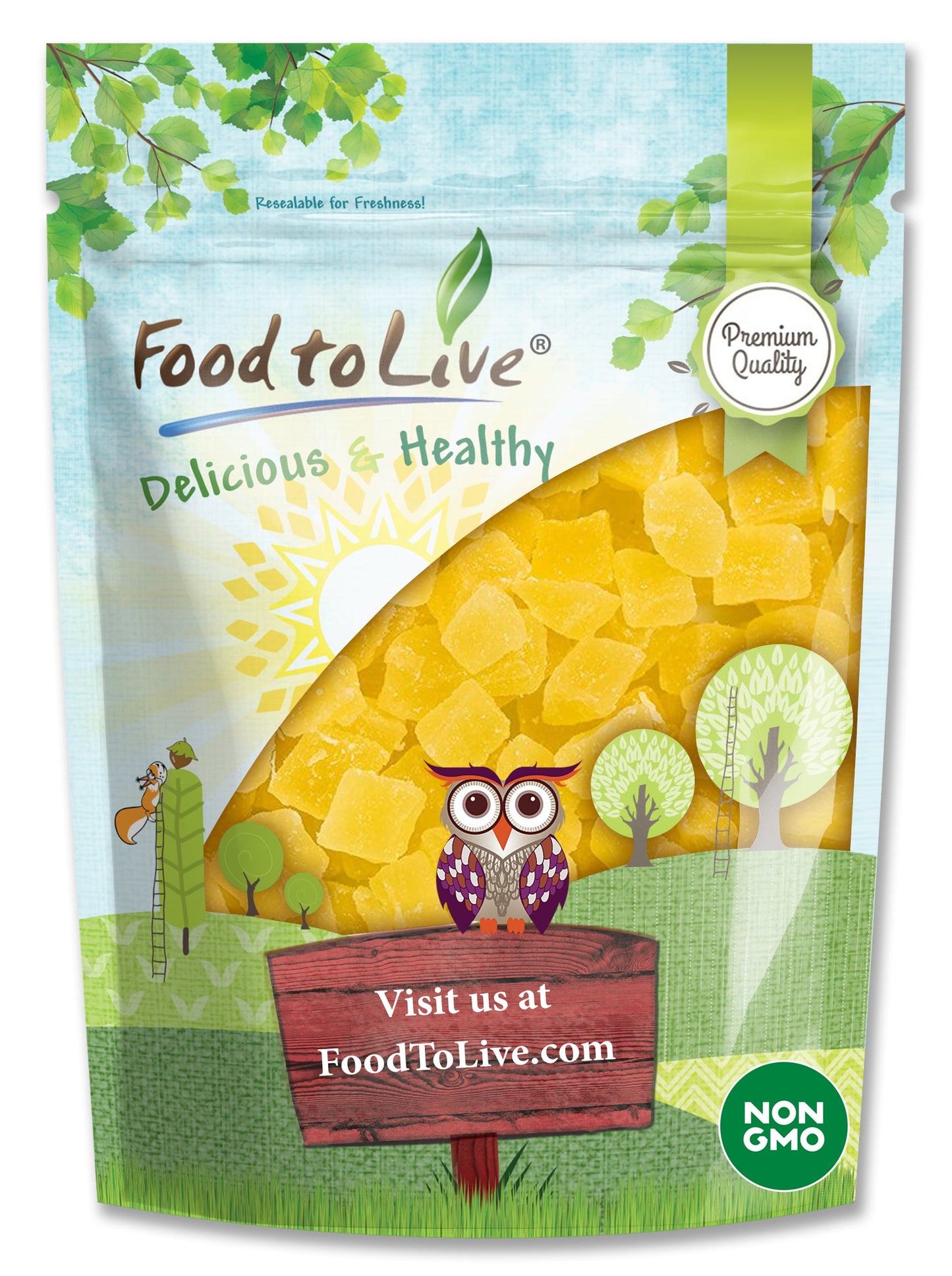 Dried Diced Pineapple - Raw, Vegan, Sweetened, Unsulfured, Bulk - by Food to Live