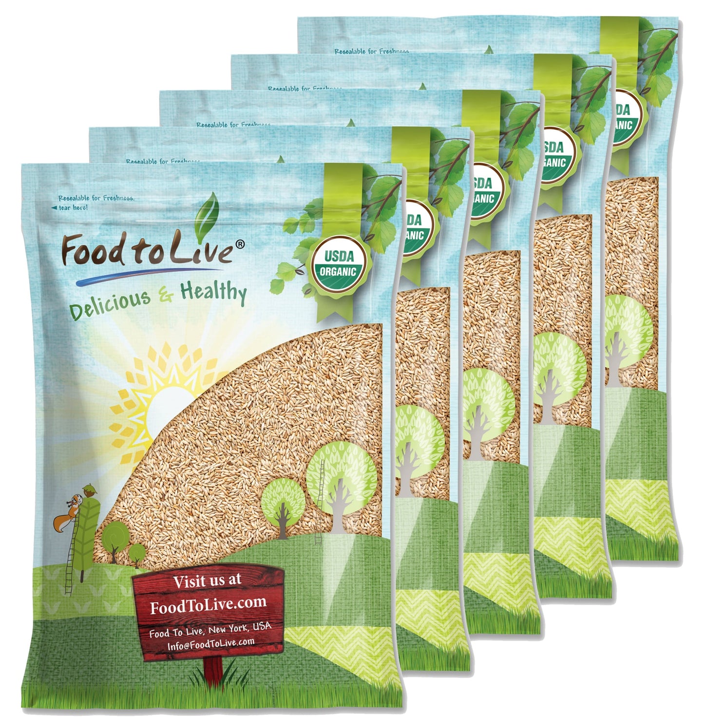 Organic Rye Berries - Non-GMO, Kosher, Raw, Bulk Seeds, Product of the USA - by Food to Live