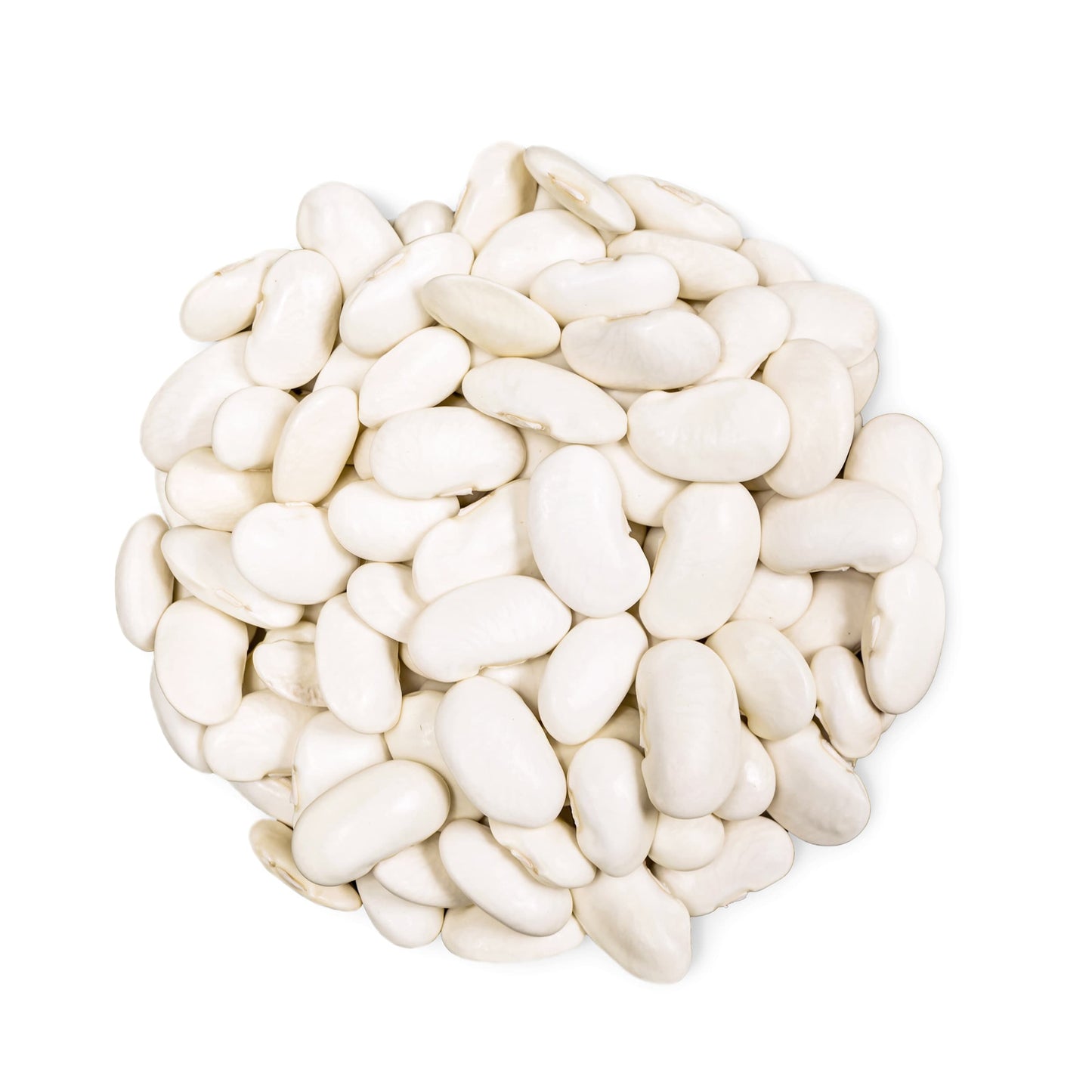 Organic Large White Kidney Beans — Whole Raw Dried Beans, Vegan, Kosher, Bulk. Rich in Dietary Fiber and Protein. Perfect for Soups, Stews, Chili, Paste, Salads and Side Dishes