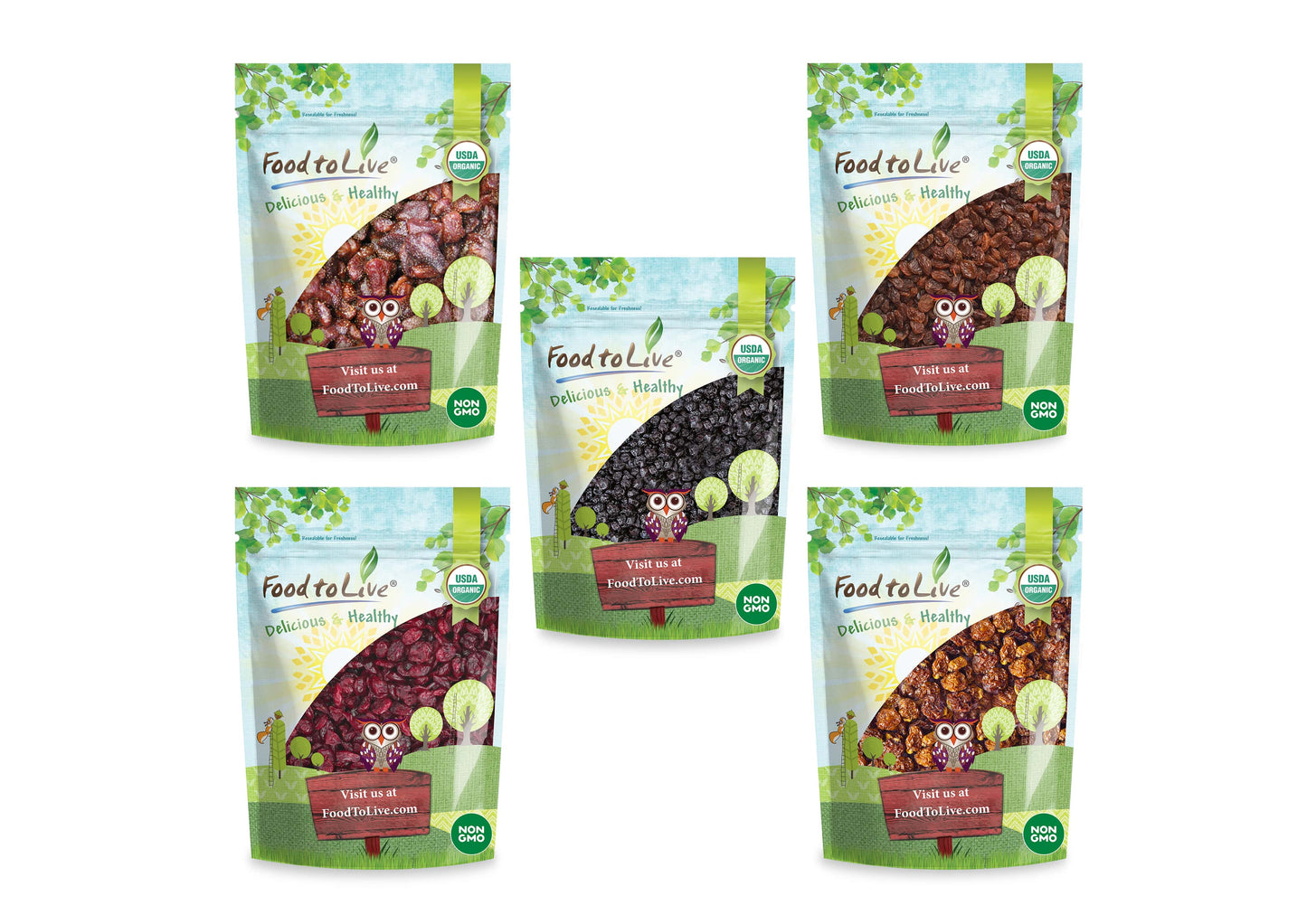 Organic Dried Berries in a Gift Box — A Variety Pack of Blueberries, Strawberries, Cranberries, Goldenberries, and Raisins - by Food to Live