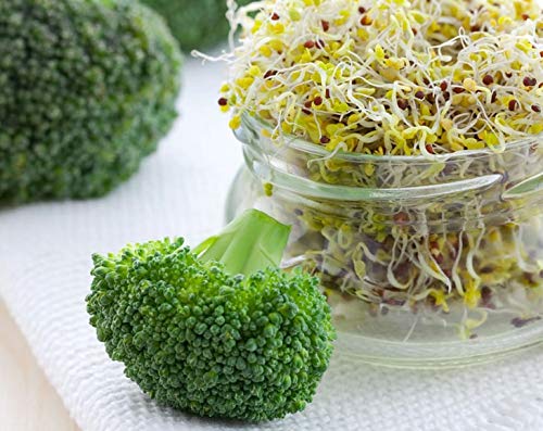 Broccoli Seeds for Sprouting - Non-GMO Verified, Kosher, Sirtfood, Bulk - by Food to Live