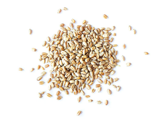 Organic Wheat Berries – Non-GMO, Kosher, Raw, Sproutable, Vegan, Sodium and Sugar Free - by Food to Live