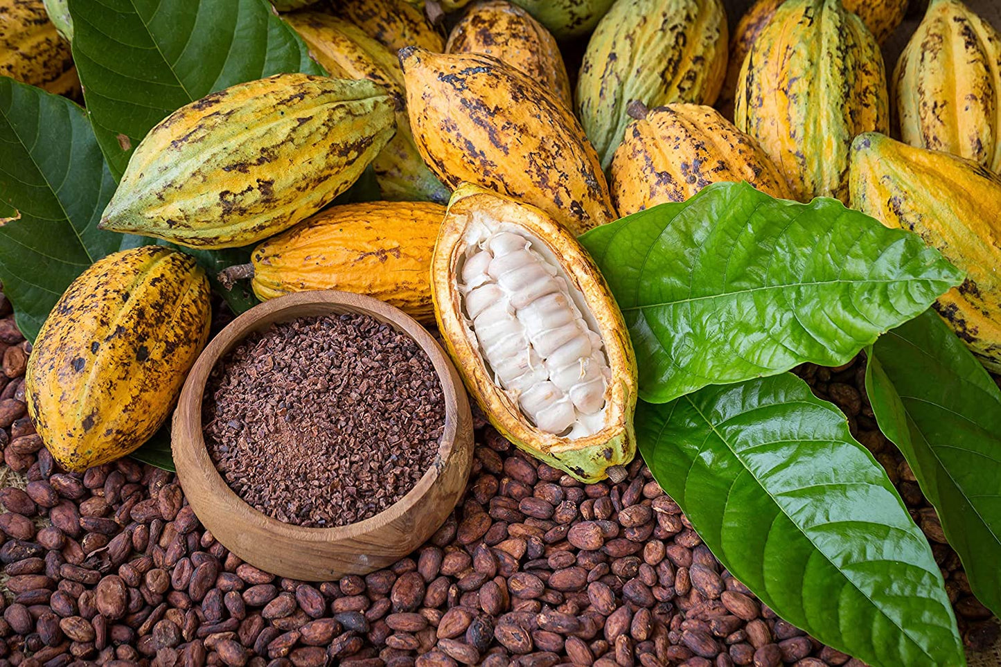 Organic Cacao Nibs - Unsweetened, Non-GMO, Kosher, Raw, Vegan, Sirtfood, Bulk - by Food to Live